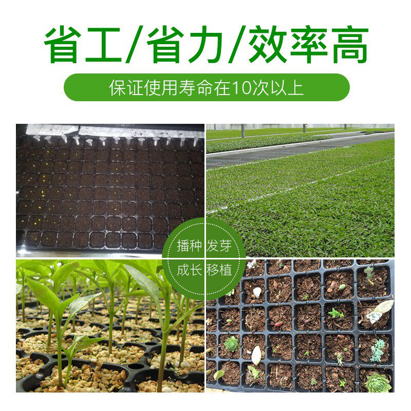 育苗盘穴盘育苗盒器苗木多肉育苗盆育苗箱芽菜盘加厚种植盘育苗杯
