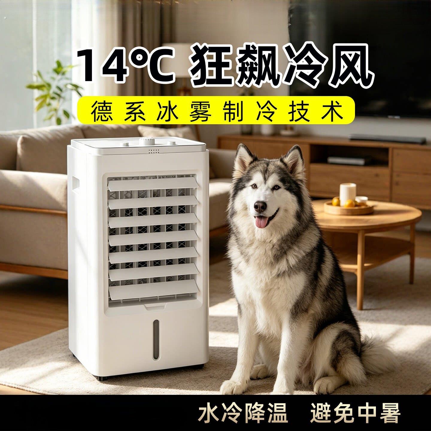 宠物降温防中暑狗狗夏天散热神器空调冷风扇猫咪兔子大型犬冷风机