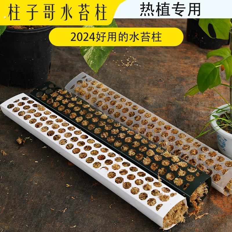 水苔柱龟背芋专用支伸缩杆热值爬藤立柱气生根套管支架导管拼接延