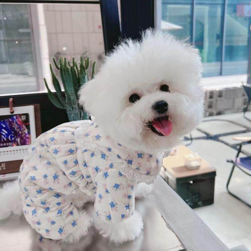 狗狗防尘裤遛弯裤春夏防脏防虫轻薄四脚裤腿套护腿小型犬春夏衣服