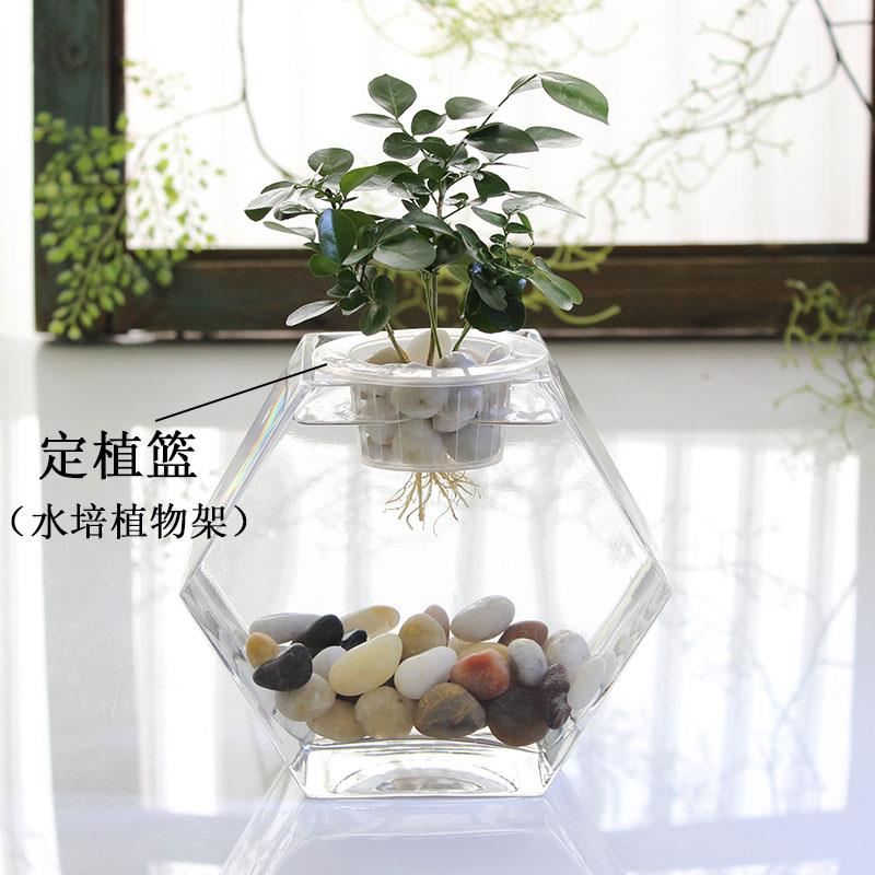 个性斗鱼缸热带鱼缸小号高透亮玻璃鱼缸桌面鱼缸五边形水培花瓶