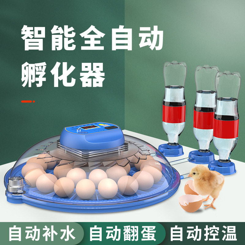 小飞碟孵化器小型家用孵化机智能全自动恒温鸡鸭鹅鸟芦丁鸡孵蛋箱