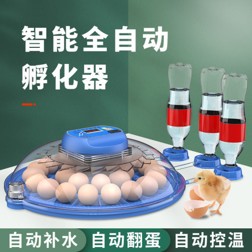 小飞碟孵化器小型家用孵化机智能全自动恒温鸡鸭鹅鸟芦丁鸡孵蛋箱