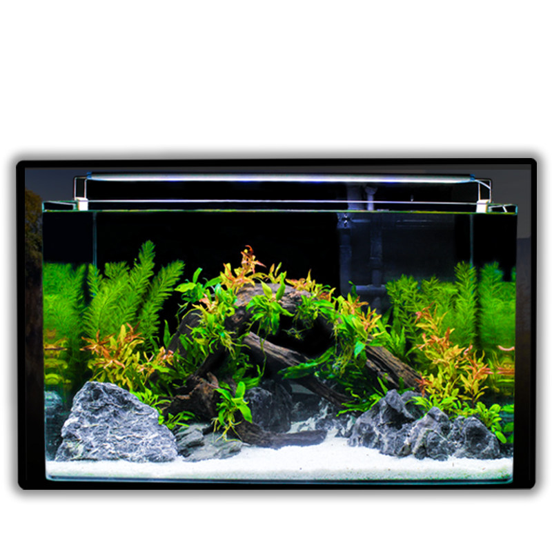 真水草鱼缸水族箱小型客厅办公室桌面家用生态草缸装饰布造景套餐
