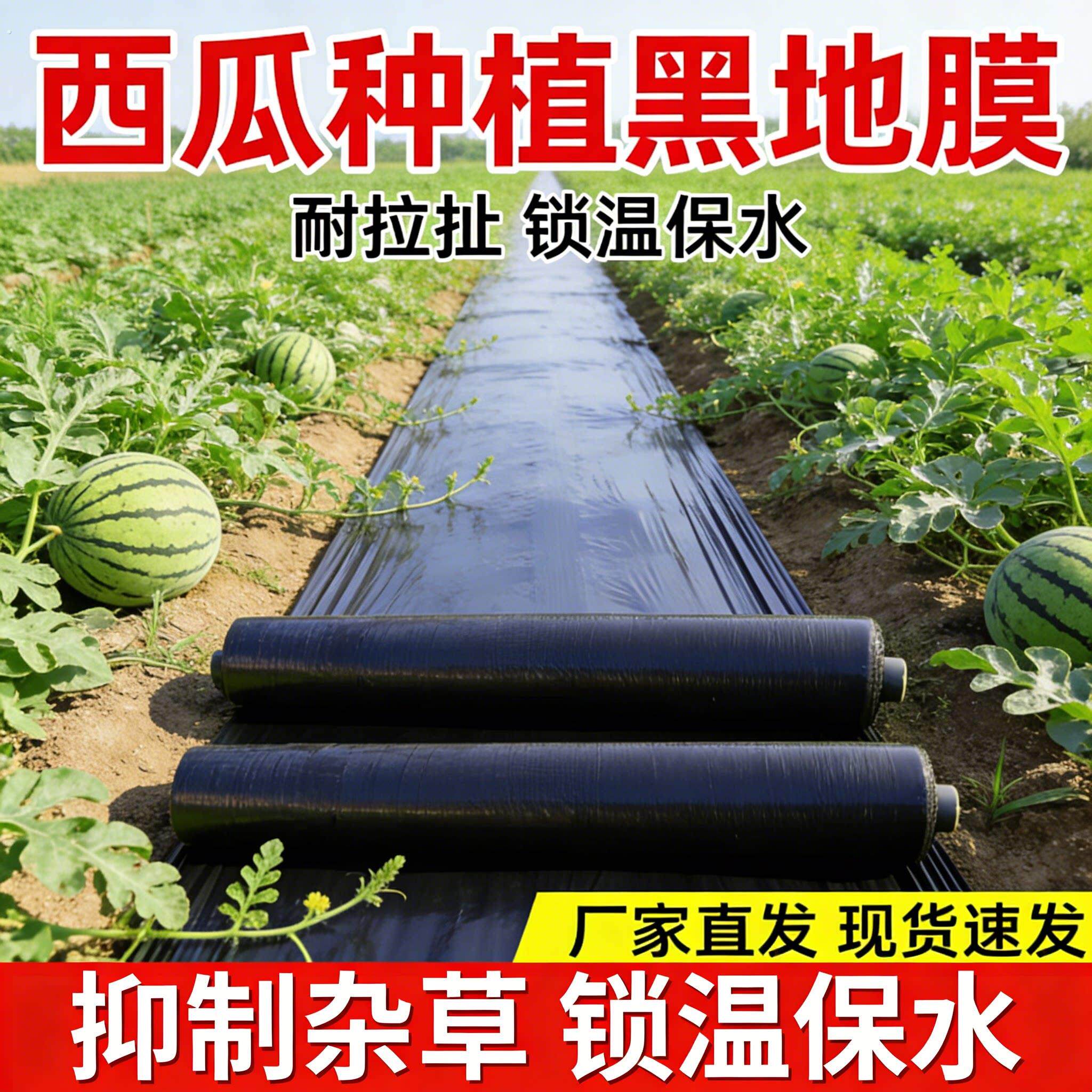西瓜专用黑色地膜一次性黑膜盖菜防草布加厚塑料薄膜农用种植西瓜
