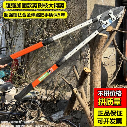 修剪树枝剪园艺粗枝果树园林大力竹子专用电花树枝伸缩动剪刀钳子