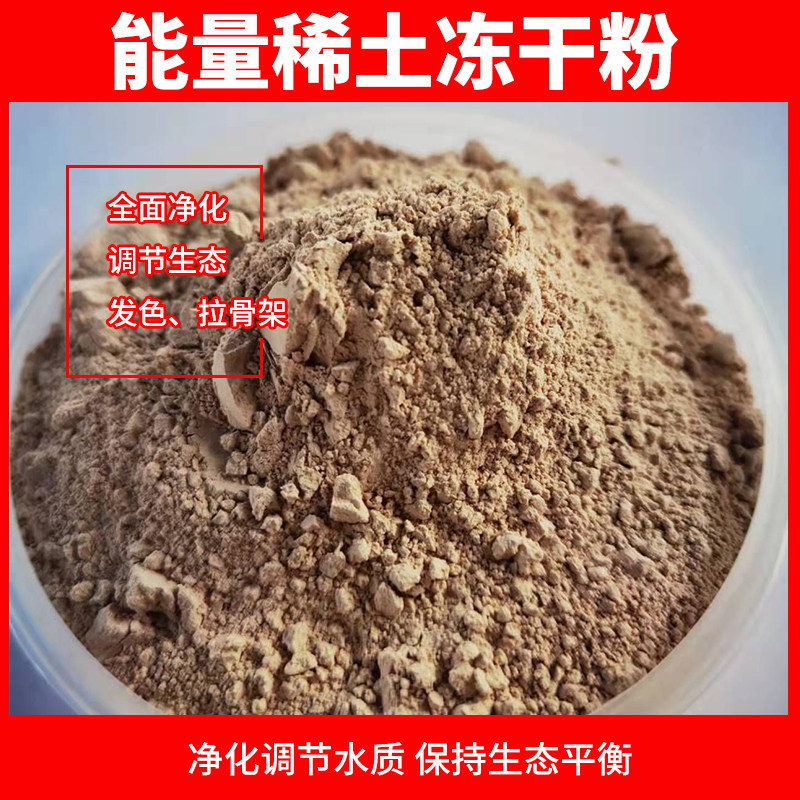 锦鲤能量稀土净水剂锦鲤兰寿鱼池鱼缸改善体型促进发色提高消化率 - 实物图