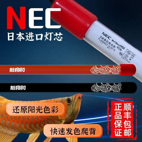NEC龙鱼专用鱼缸灯管金红龙增艳发色烤色6700K防水马印神灯靓相和