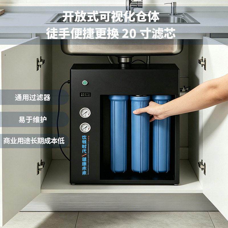 源头工厂直供800GRO反渗透制水箱式20寸滤过滤器净水器组合