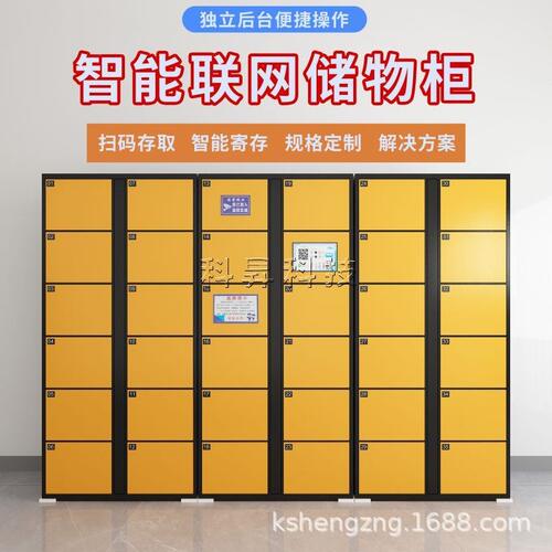 直销智能联网储物柜景区超市商场扫码收费物品寄存柜人脸识别存包
