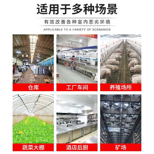 直销负压风机排风风扇不锈钢抽风机工厂直销养殖场大功率工业换气