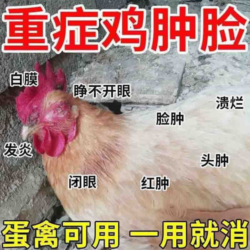 鸡用眼部护理液缓解红肿流泪