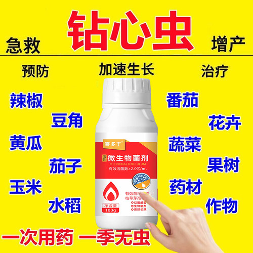 豆角虫害专用杀虫药钻心虫蓟马