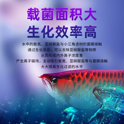 壹诺小三角滤材鱼缸过滤材料硝化细菌屋滤材培菌净水中空球陶瓷环