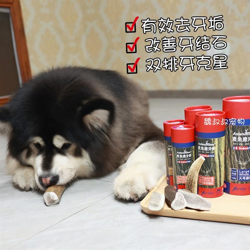 吉辛天然鹿角宠物洁齿狗狗磨牙棒耐咬磨牙骨头零食玩具幼犬小型犬