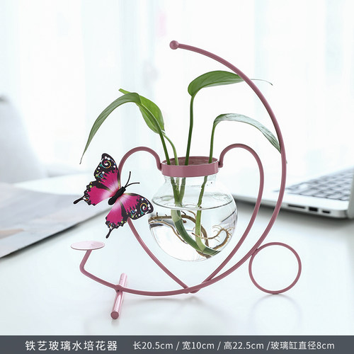 创意绿萝水培器皿玻璃透明花瓶植物插花水养花盆铁艺桌面客厅摆件