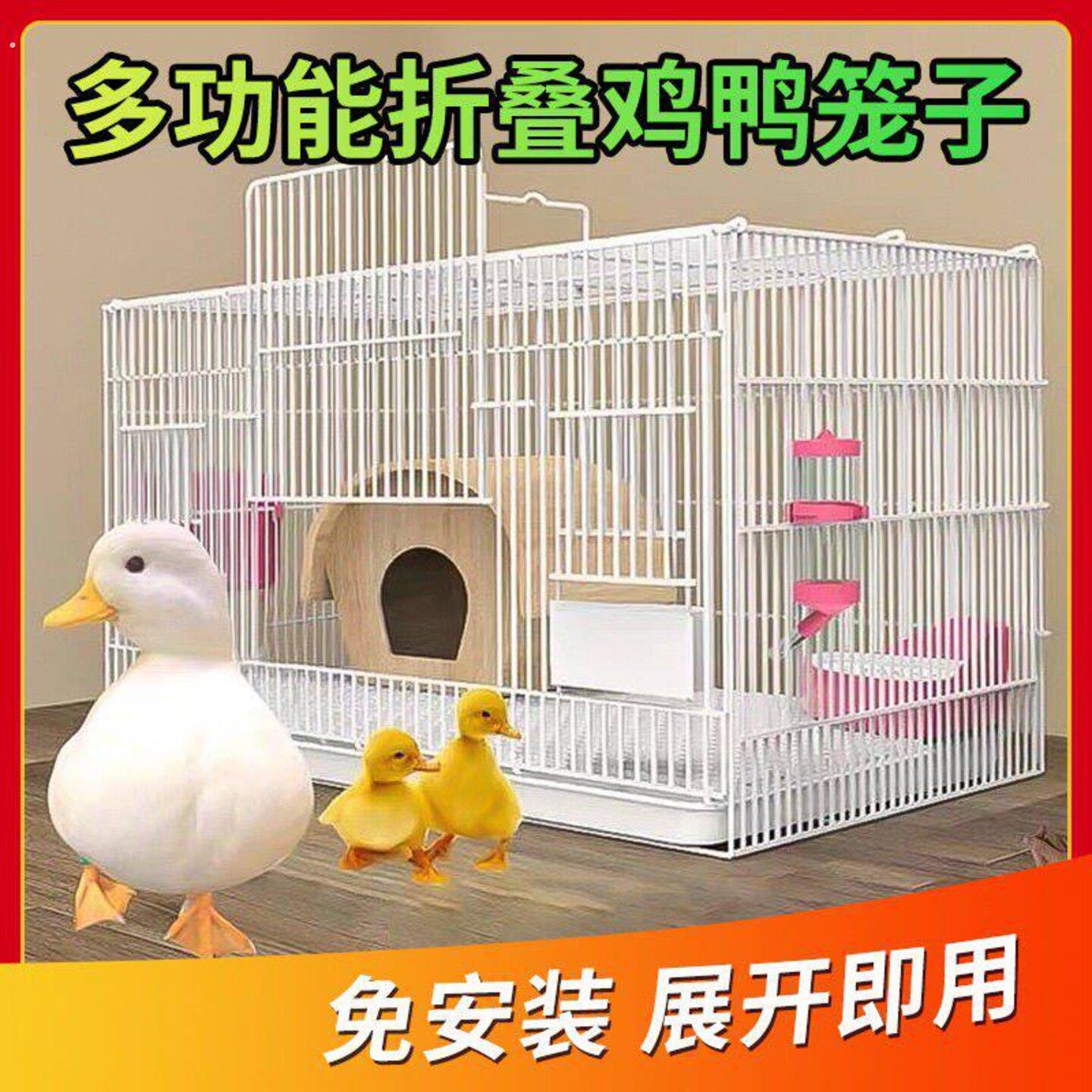 柯尔鸭专用笼子养小鸭子小鸡别墅笼大号家用室内芦丁鸡笼房子屋窝