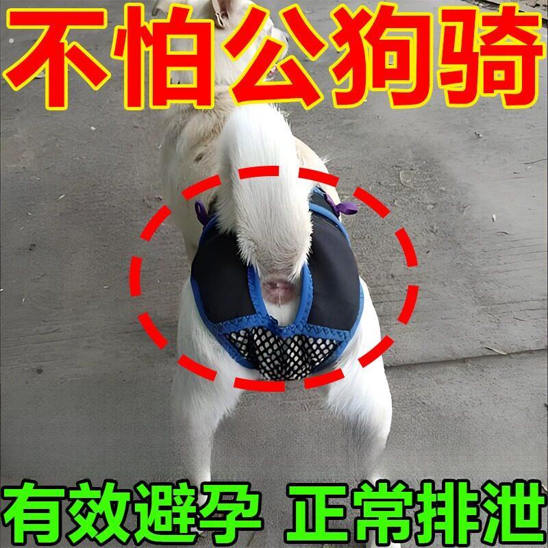 狗狗避孕裤可排泄裤防狗发情骚扰裤防交配裤生理裤母狗防交配神器