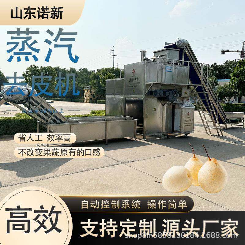 西红柿芒果脱皮设备大型果蔬蒸汽去皮机诺新科技