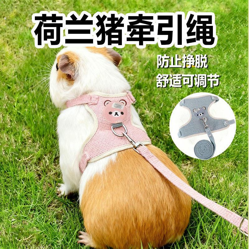 荷兰猪牵引绳专用豚鼠外出神器可爱宠物户外马甲衣服背心小型用品