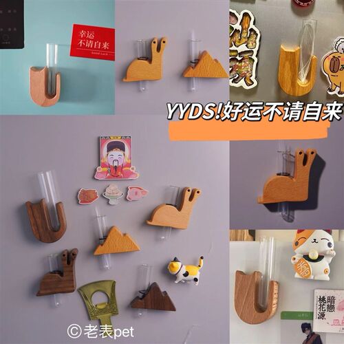 宠物毛发纪念毛发品定制周边猫咪胡须收纳盒狗狗收集器胡子保存瓶