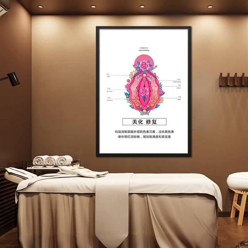 私密解剖艺术挂画 妇科医院母婴馆墙装饰画产后修复生殖保养壁画