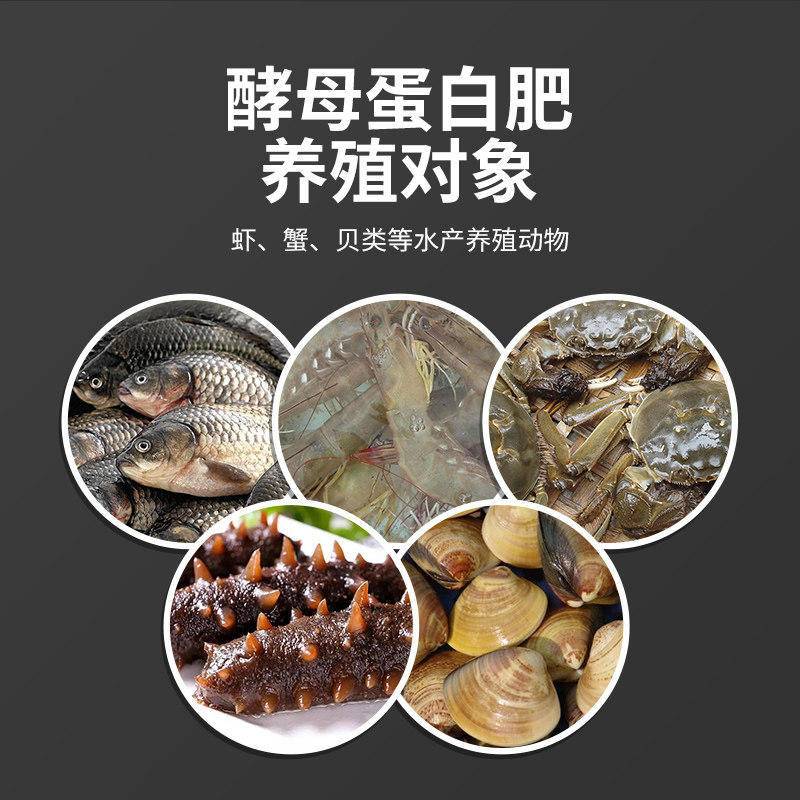 饲料肥酵母蛋白粉矽藻旺鱼虾蟹氨基酸肥水膏水产养殖生物用肥培藻