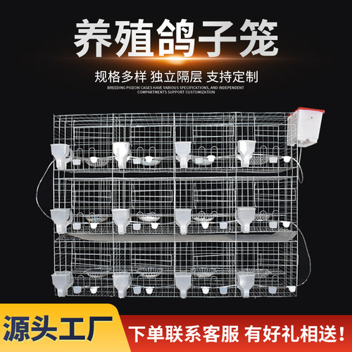 鸽子笼家用繁殖配对笼养鸽子专用肉鸽养殖笼子专业大型元宝鸽笼