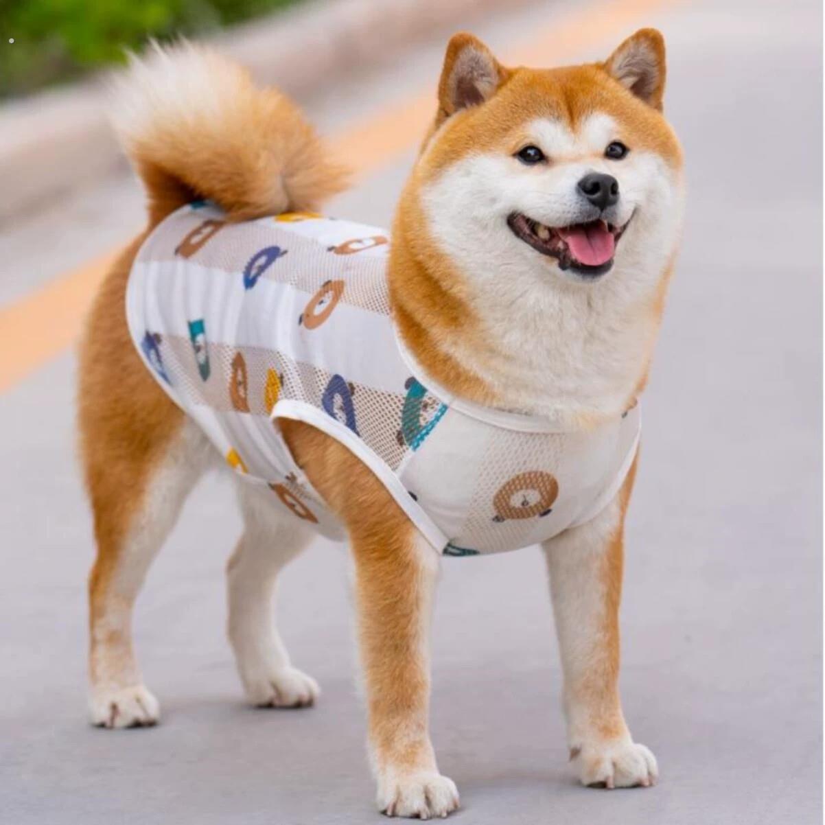 狗狗衣服夏季防晒衣薄款透气背心柴犬柯基泰迪幼犬防掉毛夏天宠物
