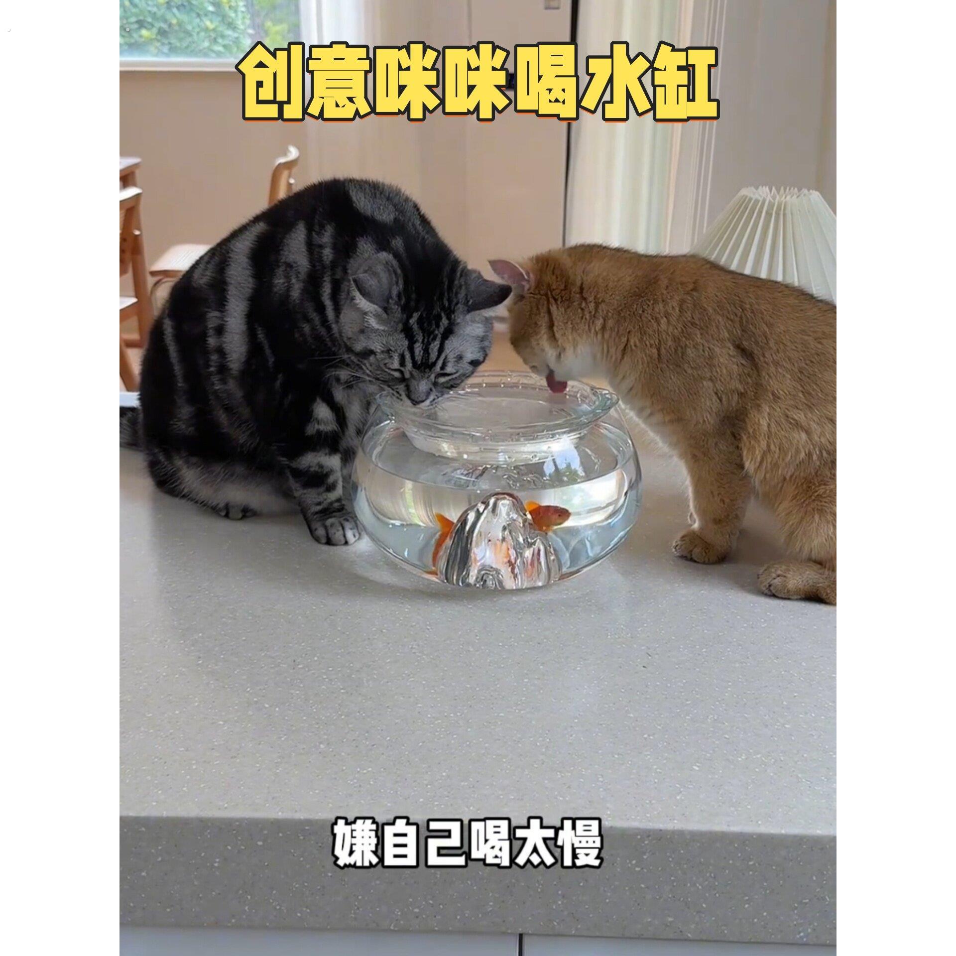 猫咪饮水机不插电不易打翻保护颈椎喂水器家用创意骗猫喝水饮水碗