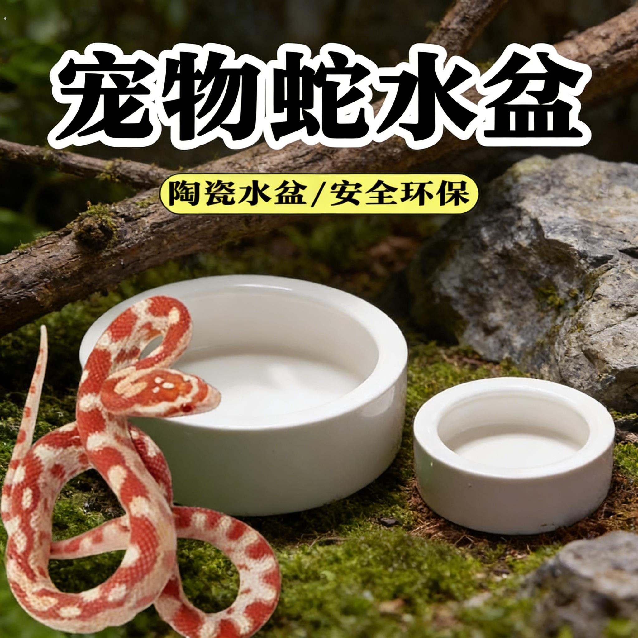 宠物蛇陶瓷水盆泡澡盆食盆爬宠碗蛇缸造景饲养箱专用爬宠用品套装