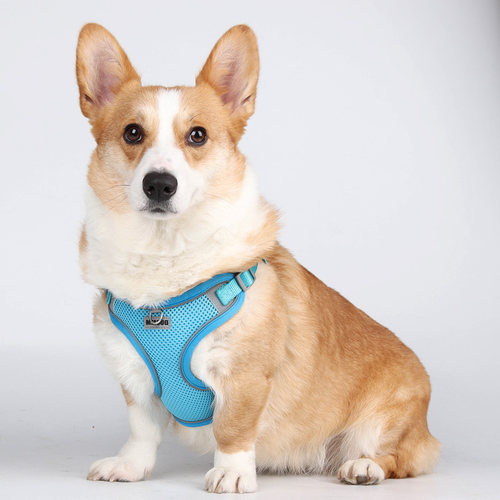 背心式狗狗牵引绳小型犬泰迪比熊透气胸背中型犬柯基柴犬外出狗绳