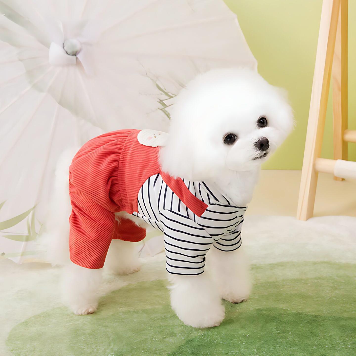 宠物服装狗狗衣服春季新款猫咪泰迪狗宠物服饰春夏装26牵引四腿裤