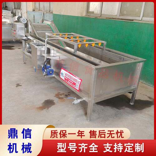 不锈钢菠菜气泡翻浪清洗机大蒜清洗设备韭菜清洗机鼎信