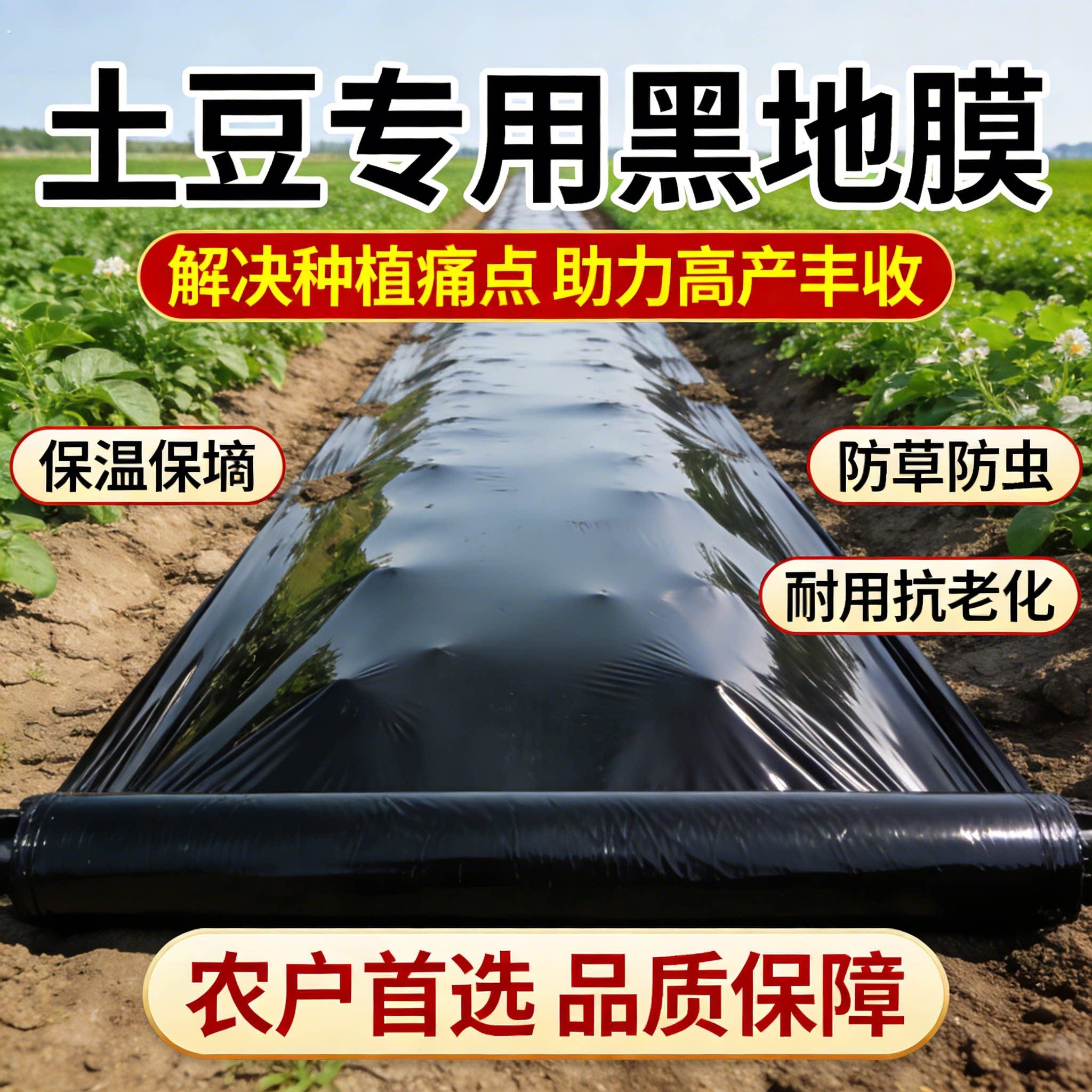 土豆专用地膜黑色加厚塑料薄膜农用种植土豆一次性黑膜盖菜防草布