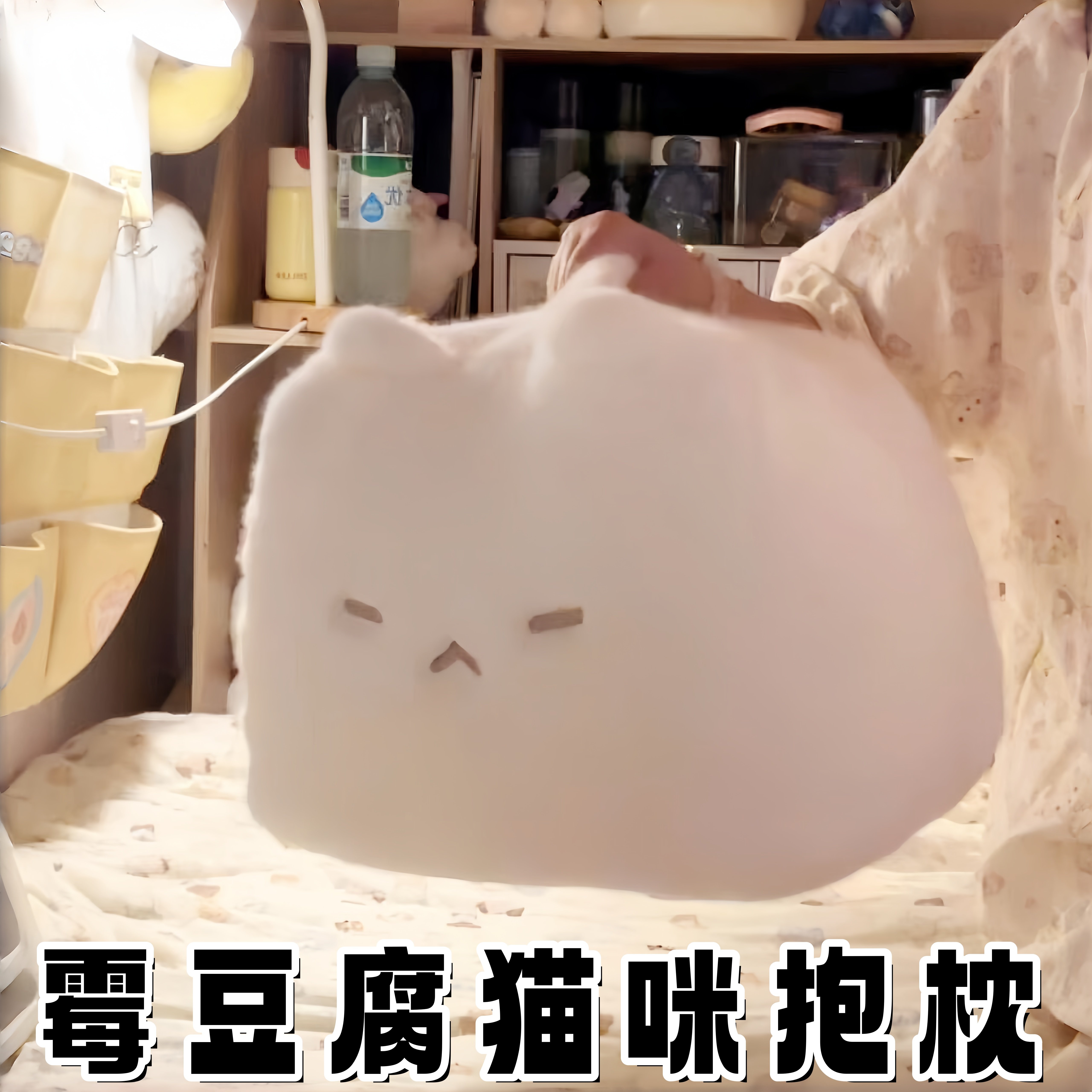 霉豆腐抱枕玩偶生日礼物女生可爱毛绒沙发靠枕靠垫