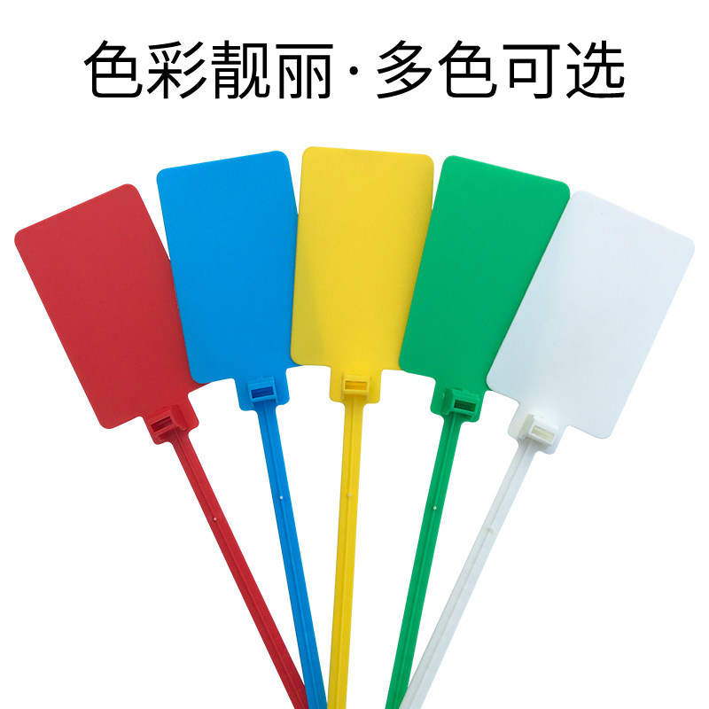 包邮一次性塑料封条标牌扎带集装箱安能德邦物流挂签记号封签吊牌