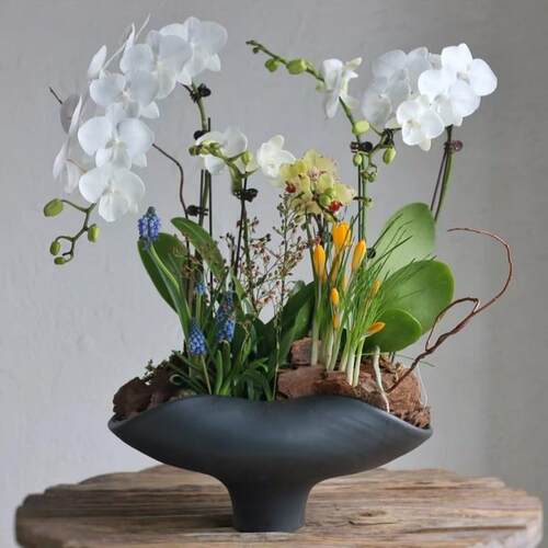 2026年新款栽蝴蝶大蕙兰花冬青盆景专用手工陶瓷中式花盆大号