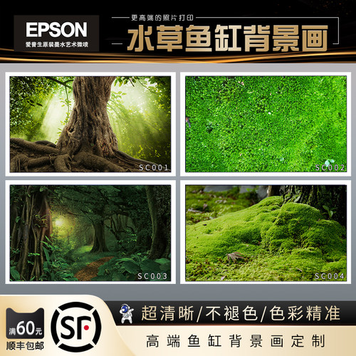 鱼缸背景画爬宠背景鱼缸壁纸角蛙缸背景水草缸背景板草地造景贴纸