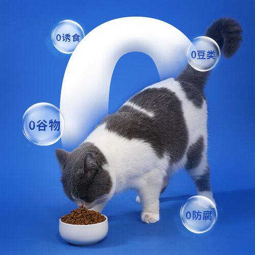 造藏低温烘焙鲜肉猫粮无谷成猫幼猫全阶段鸡肉4P鳗鱼烘焙粮送试吃