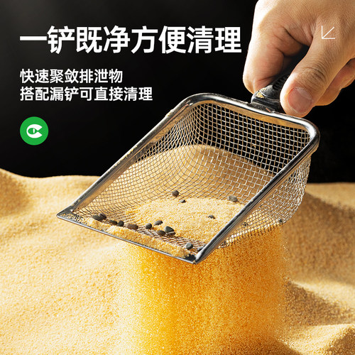 陆龟爬宠爬沙钙沙砂守宫鬃狮蜥蜴饲养用品沙漠造景装饰爬虫缸垫材