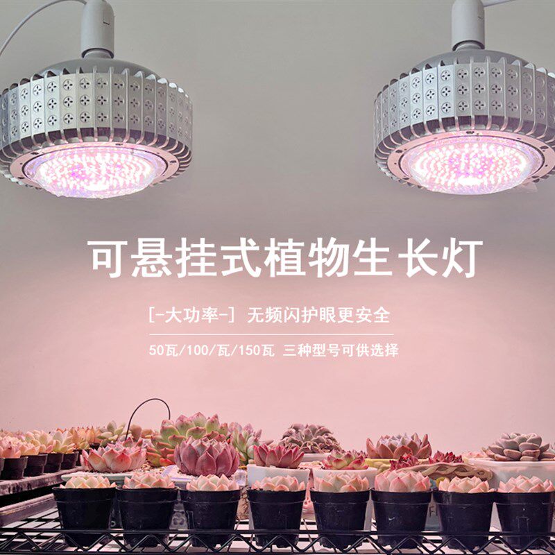 欧科多肉植物补光灯上色全光谱防徒室内绿植兰花卉大棚蔬菜筒灯