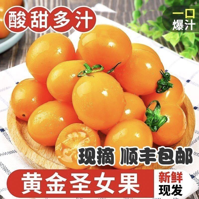 【顺丰包邮】新鲜黄色圣女果酸甜水果小番茄西红柿孕妇宝宝千禧果