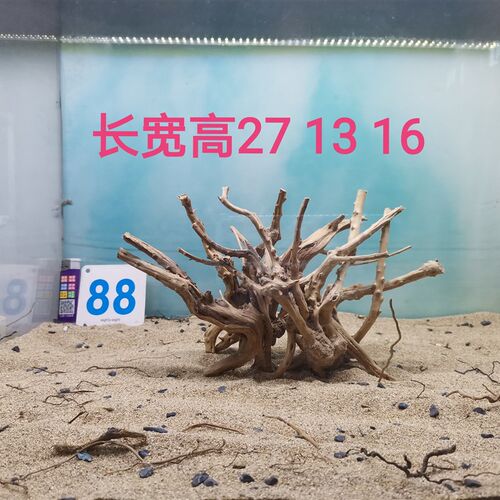 杜鹃根沉木造景一木成景拱桥树洞水陆缸雨林缸草缸莫斯胶拼接骨架