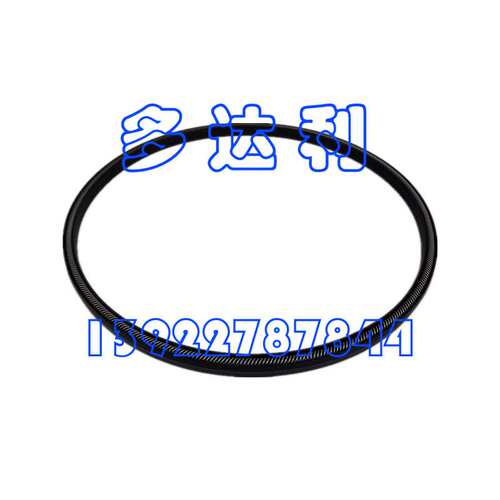 开利06TX 密封环/弹簧组件 SEAL RING/SPRING ASSY