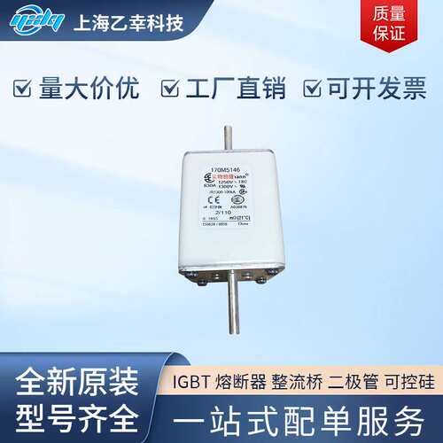 巴斯曼熔断器  170M5196 170M5197 170M5198 170M5199 170M5200