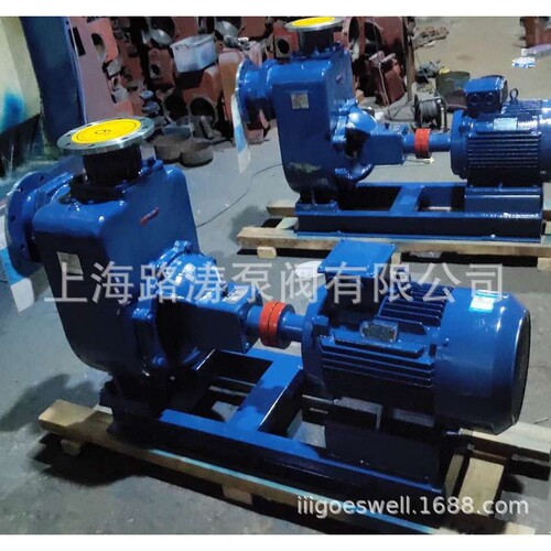 供应50ZW10-20污水泵自吸式排污泵无堵塞自吸泵
