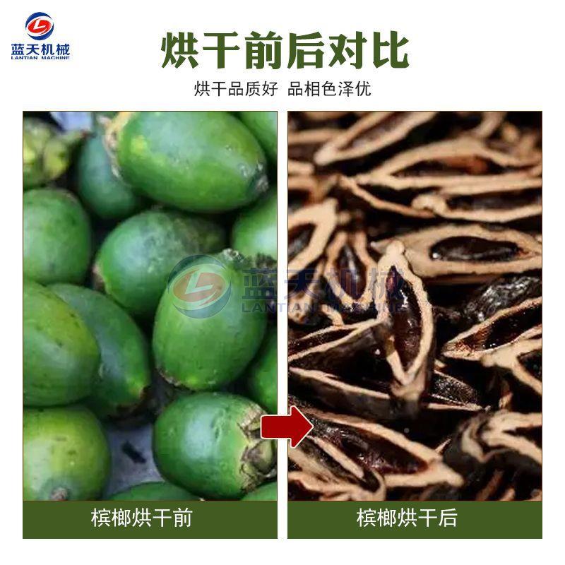 DST备自动槟榔青果干燥机大型槟榔半成品烘干设网带青槟榔全烘干