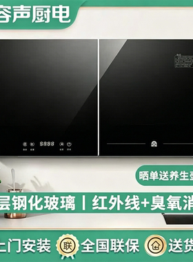 容声壁挂式消毒柜家用卧式台式悬挂式消毒碗柜挂壁新品108-A2
