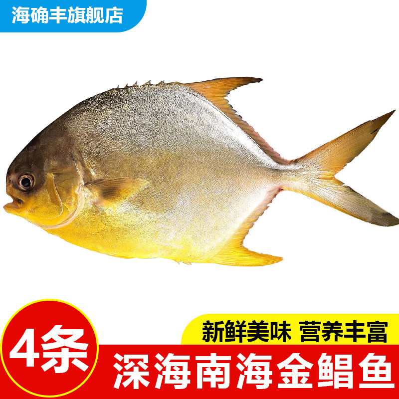 新货金鲳鱼新鲜镜鱼海鱼鲳鱼金昌鱼阳江海鲜水产鲜活冷冻生鲜包邮